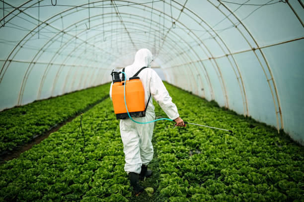 Best Best Pest Control Companies  in Moundsville, WV
