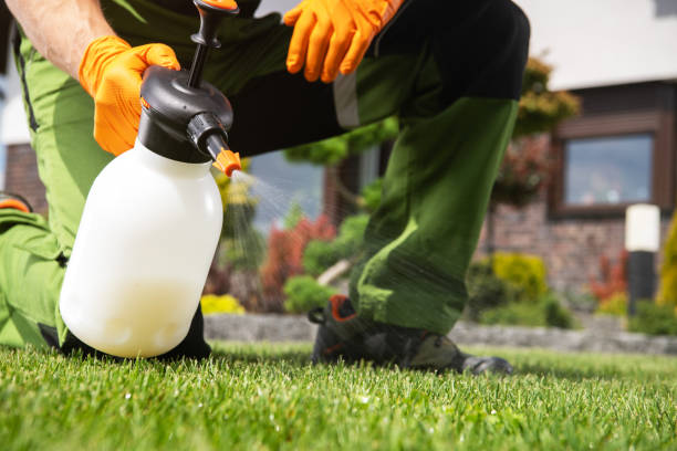 Best Commercial Pest Control Services  in Moundsville, WV