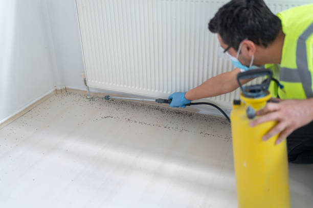 Best Pest Prevention Services  in Moundsville, WV