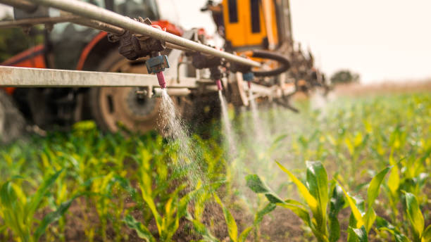 Best Mosquito Control Services  in Moundsville, WV